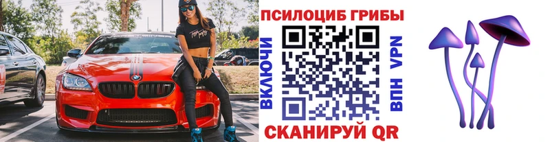 Купить где  Севск  Галлюциногенные грибы мухоморы 